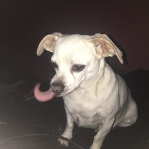 Meet your Posher, Esmeralda